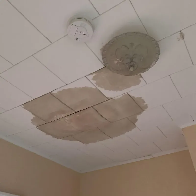 Ceiling Water Damage Repair in Forest Hills, TN