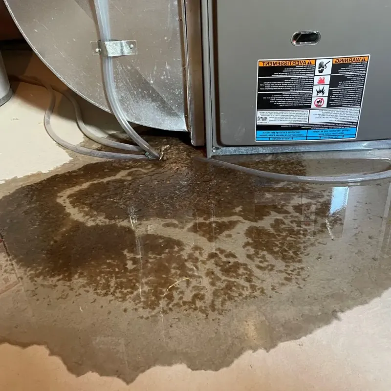 Pipe Burst and Leak Restoration in Forest Hills, TN