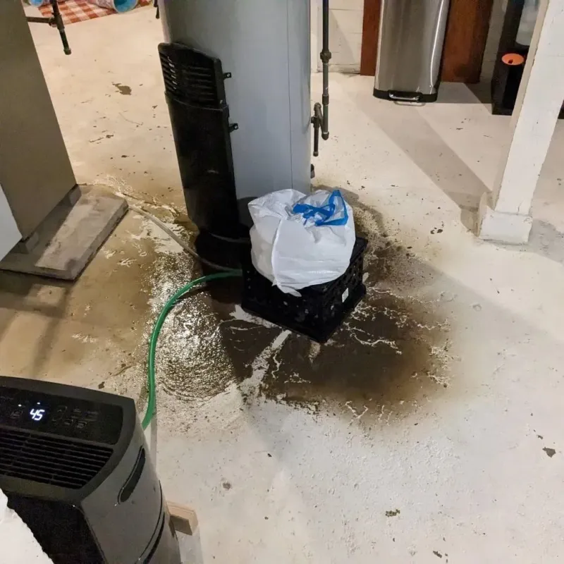Sewage Backup Cleanup Service in Forest Hills, TN